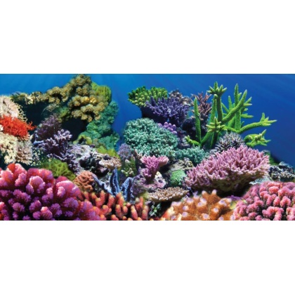 Aquatic Creations Coral Cling Aquarium Background