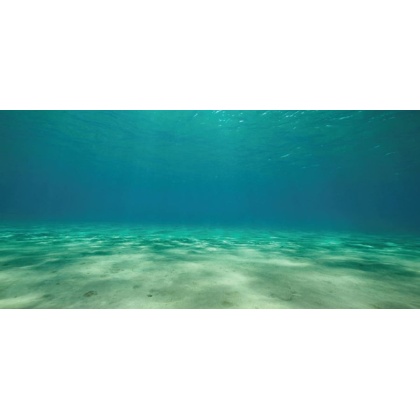 Aquatic Creations Ocean Floor Cling Aquarium Background